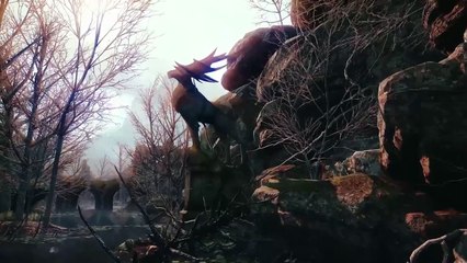 Scopri l'Era del Dragone