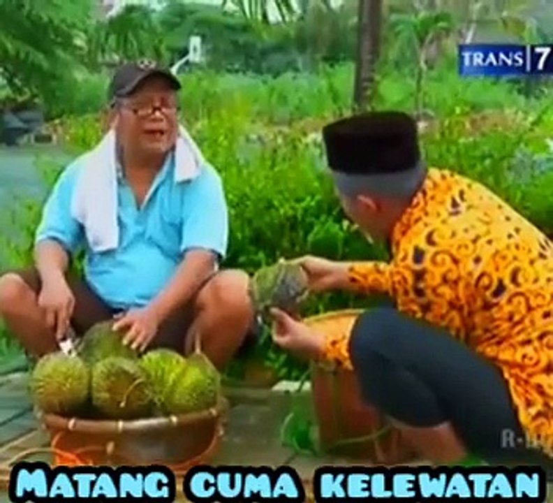 Sule beli duren