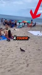 Un Gros Problème est Survenu sur Cette Plage..