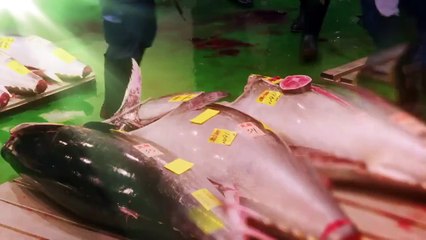 Edomae no Shun 2 - 江戸前の旬 2 - E1