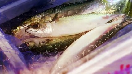 Edomae no Shun 2 - 江戸前の旬 2 - E4