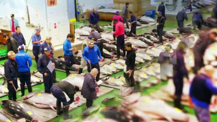 Edomae no Shun 2 - 江戸前の旬 2 - E5