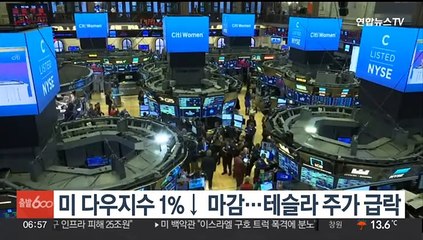 미 다우지수 1%↓ 마감…테슬라 주가 급락
