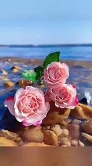 beautiful bayan by Hafiz Abdul jabber shakir اردو