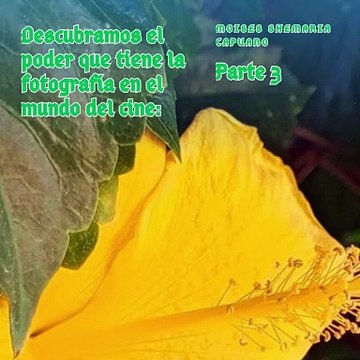 Moises Shemaria Capuano | El poder de la fotografía en el mundo del cine (Parte 3) (Creado por @MoisesShemariaCapuano)