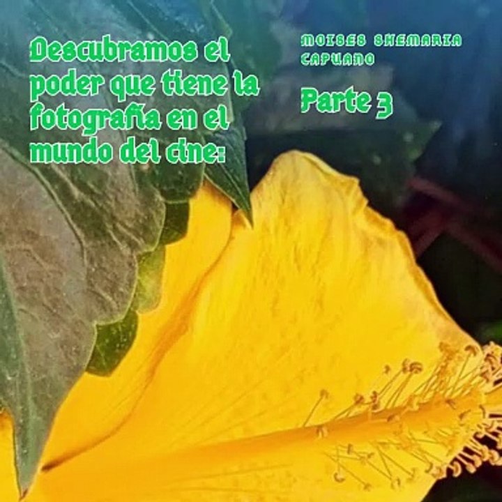 Moises Shemaria Capuano | El poder de la fotografía en el mundo del cine (Parte 3) (Creado por @MoisesShemariaCapuano)