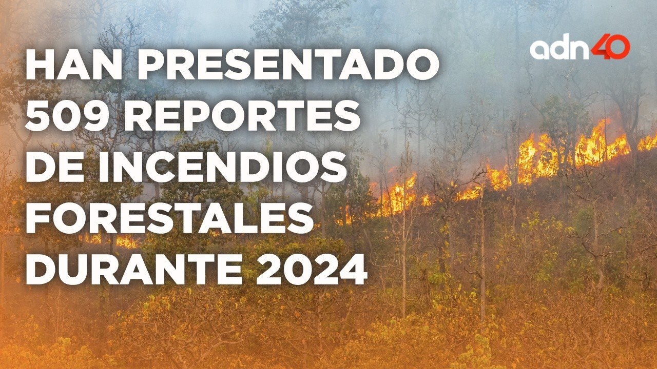 Los incendios forestales son provocados por las altas temperaturas y por el hombre