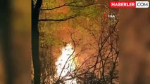 Düzce'de orman yangını: 3 dönüm arazi yandı