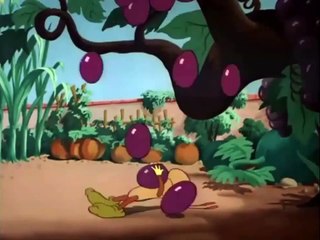 Donald Duck Cartoons Full Episodes - Catteries Not Included