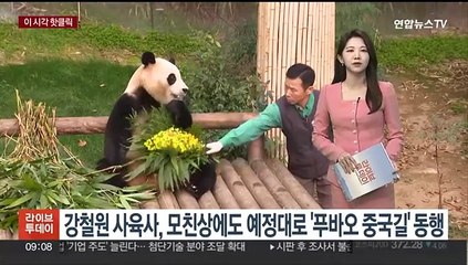 [핫클릭] 강철원 사육사, 모친상에도 예정대로 '푸바오 중국길' 동행 外