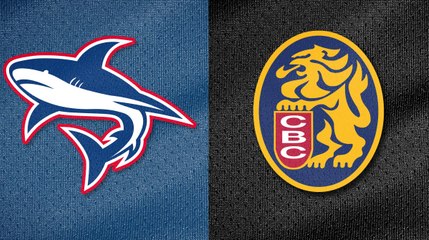 TIBURONES DE LA GUAIRA vs LEONES DEL CARACAS 24/10/2023