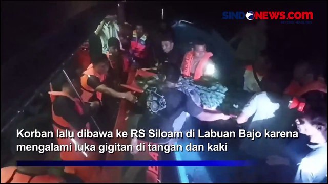 Hendak Mencari Madu, Seorang Warga Digigit Komodo di Pulau Rinca