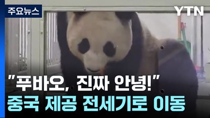"이제는 진짜 안녕"...우리 푸바오 중국가는 날 / YTN