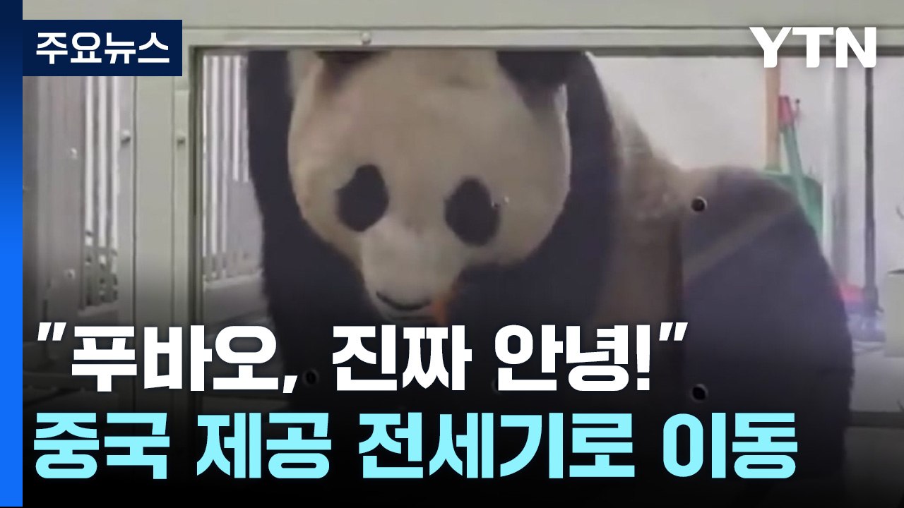 "이제는 진짜 안녕"...우리 푸바오 중국가는 날 / YTN