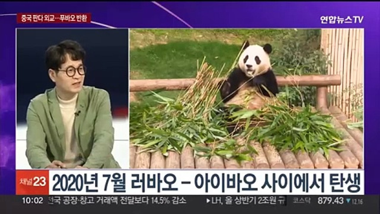 [뉴스포커스] '판다 신드롬' 남긴 푸바오, 오늘 전세기로 중국행