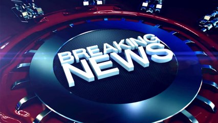 $LGT Project Timeline - Logical Good Token