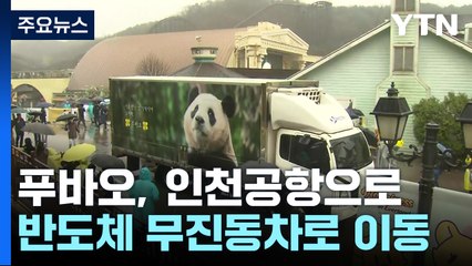 "끝이 아닌 시작"...푸바오, 행사 뒤 공항으로 이동 / YTN
