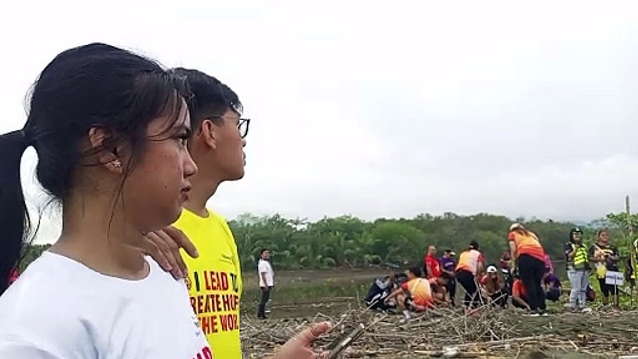 Planting Mangroves