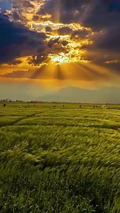 The Natural View #natural #view