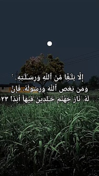 Surah jinn Verse 23 to 24 Verse 23    ˹My duty is˺ only to convey ˹the truth˺ from Allah and ˹deliver˺ His messages.” And whoever disobeys Allah and His Messenger will certainly be in the Fire of Hell, to stay there for ever and ever. Verse 24.    Only wh