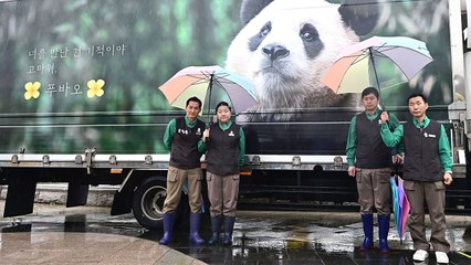 "잘가 푸바오"...1,354일 만에 중국으로 [앵커리포트] / YTN