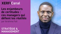 Les enjambeurs de certitudes : ces managers qui défient les réalités [Ibrahima Fall]
