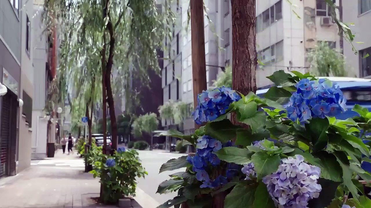 Edomae no Shun Story - 江戸前の旬物語 - E2