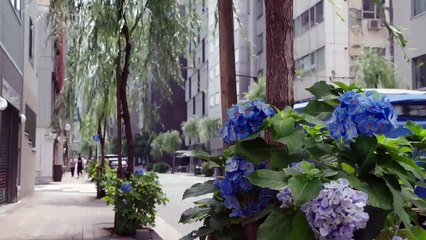 Edomae no Shun Story - 江戸前の旬物語 - E2