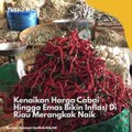Kenaikan Harga Cabai Hingga Emas Bikin Inflasi Di Riau Merangkak Naik