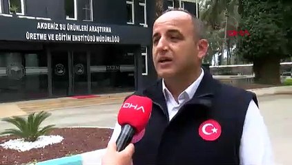 'İstilacı balıklar, Akdeniz'in yerli türü haline geldi'
