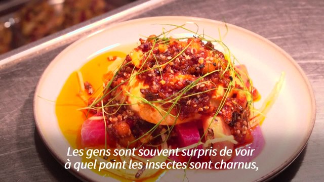 'Du beurre aux desserts': les insectes envahissent le menu d'un restaurant londonien
