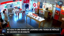 Así asalta una banda de ladrones una tienda de móviles de Cáceres en un minuto