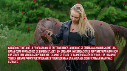 Los humanos representan una mayor amenaza como portadores de virus para los animales