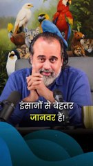 इंसानों से बेहतर जानवर हैं! || आचार्य प्रशांत