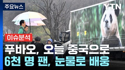 '행복을 주는 보물' 푸바오...1,354일 만에 중국행 / YTN