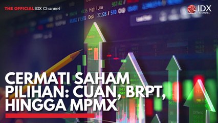 Cermati Saham Pilihan: CUAN, BRPT, Hingga MPMX