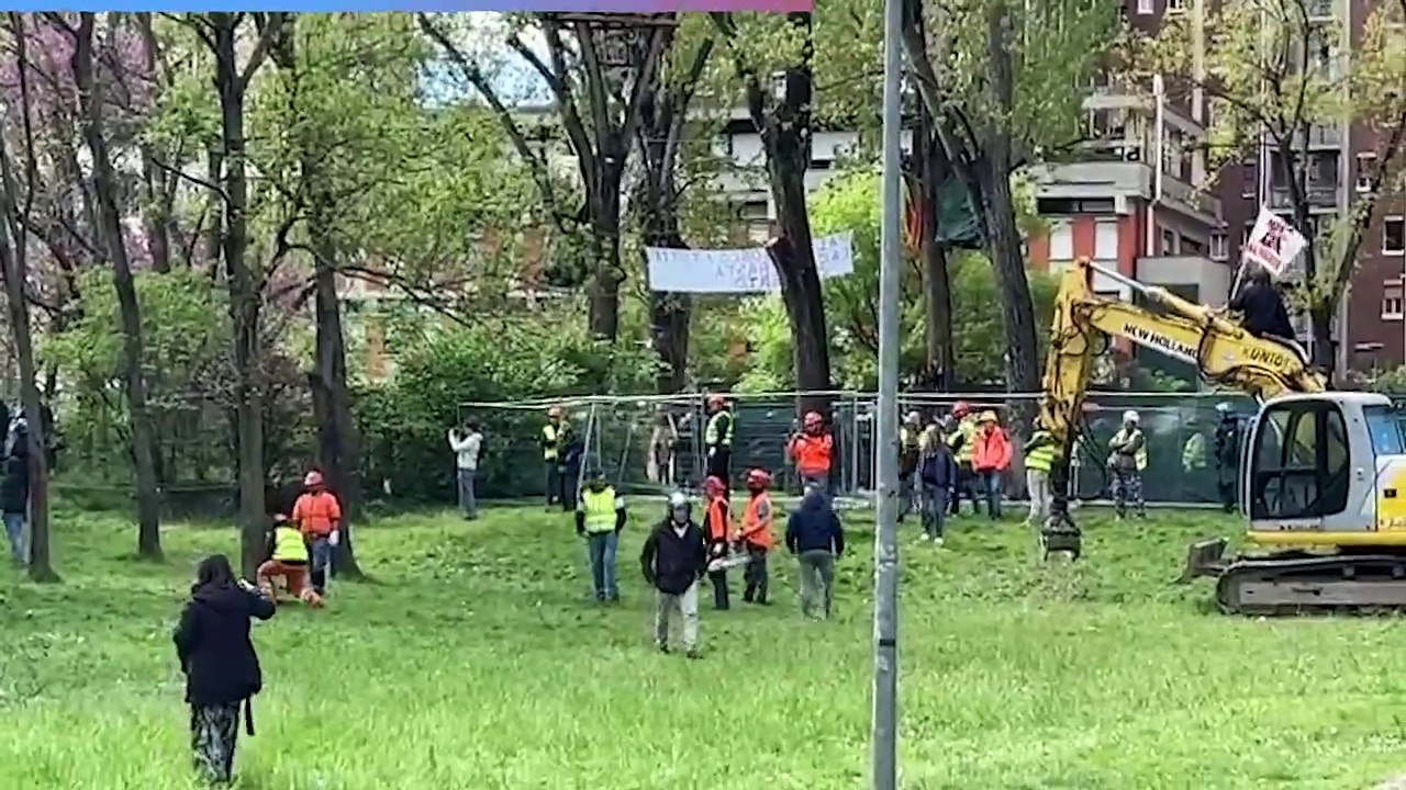 Scuole Besta, abbattuto il primo albero nel parco Don Bosco di Bologna