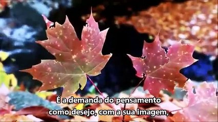 O que é o amor? - Guia de vídeos