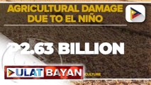 Halaga ng pinsala sa agrikultura na dulot ng El Niño, umakyat na sa P2.63-B;