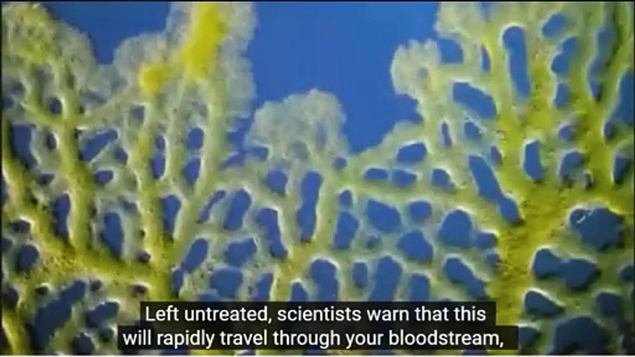 SIMPLE 7-SECOND "FUNGUS VANISHING" RITUAL CLEARS NAILS 3X FASTER