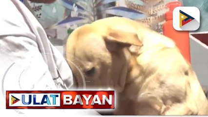Pagsayaw ng isang tatay sa Cavite para mapatahan ang umiiyak na anak, viral;