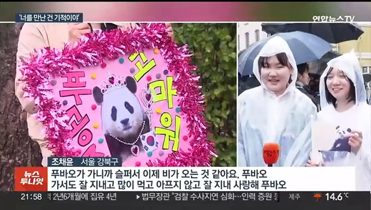 "영원히 기억할게"…푸바오 중국 가는 날 '눈물바다'