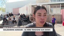 Collégienne agressée à Montpellier : «Hier, il y a eu sur les réseaux sociaux un hashtag appelant à la frapper», témoigne la mère de la victime