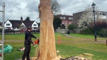 Gostrey Meadow gets chainsaw carved wood sculpture by Michael Jones