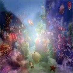 Dora The Explorer S04E23 Catch The Babies