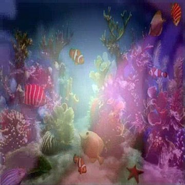 Dora The Explorer S04E22 Swiper The Explorer