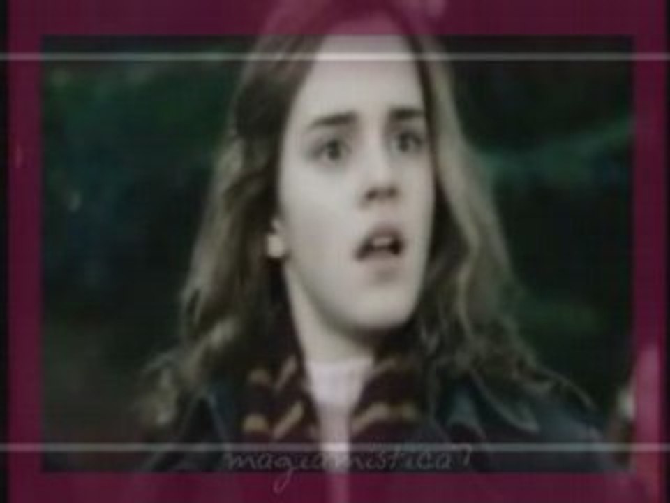 Fred/Hermione
