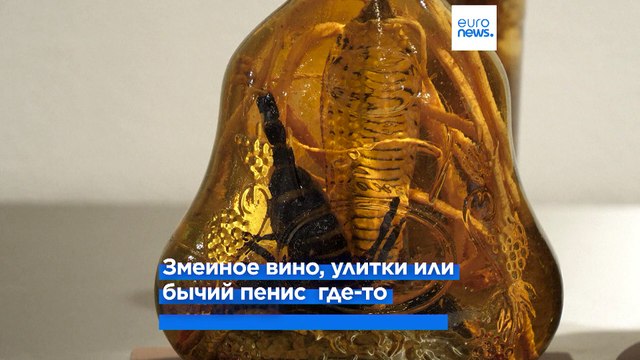 Музей отвратительной еды предлагает деликатесы