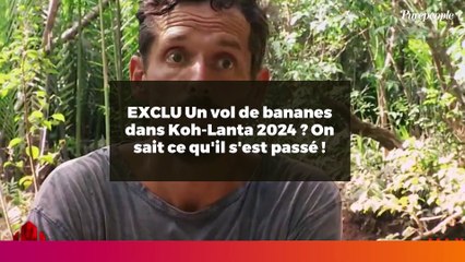EXCLU Un vol de bananes dans Koh-Lanta 2024 ? On sait ce qu'il s'est passé !
