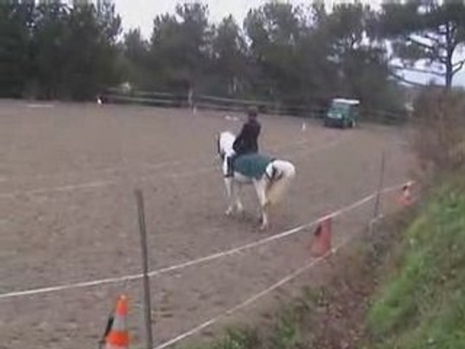 Etoile, dressage 2004